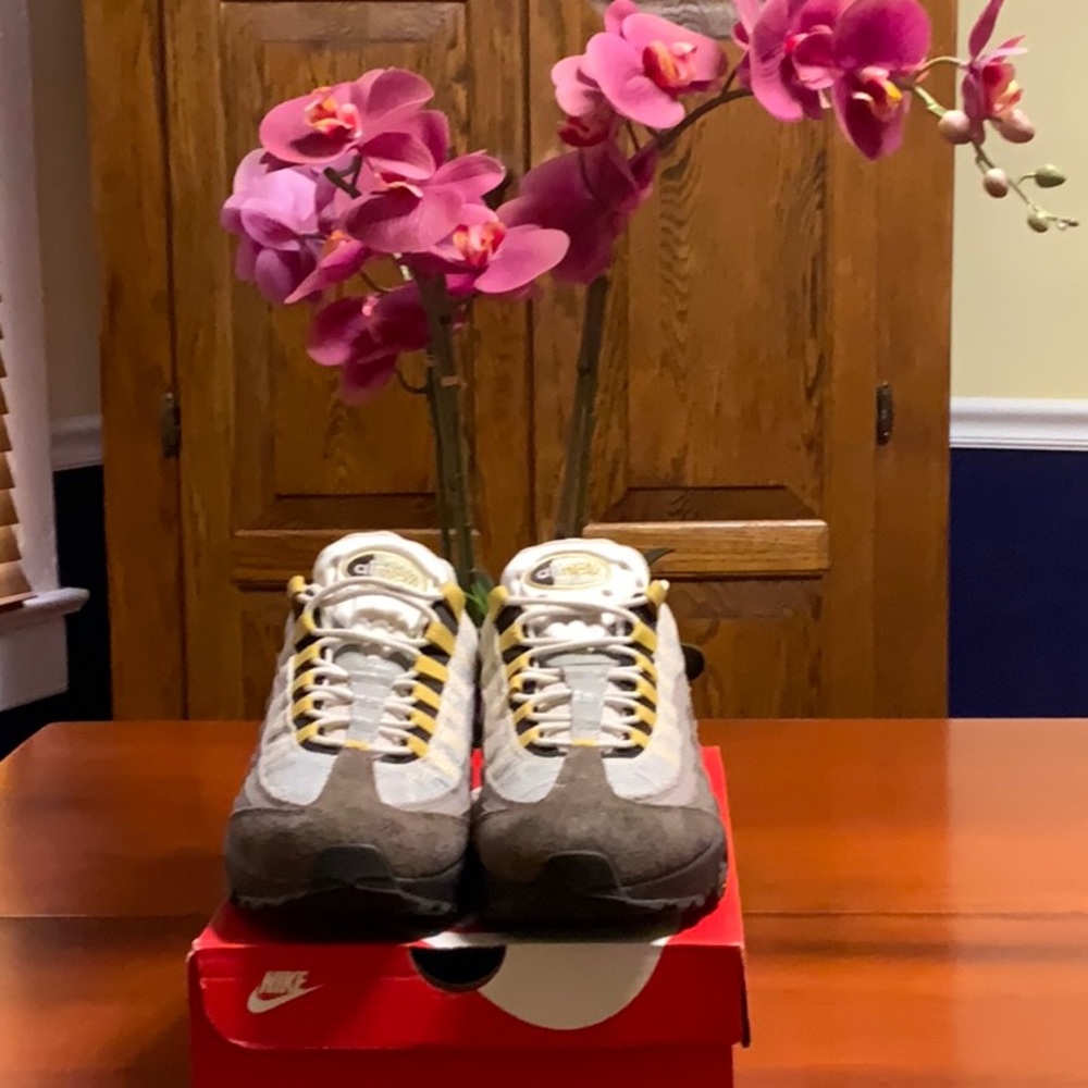 Nike Air Max 95 NH